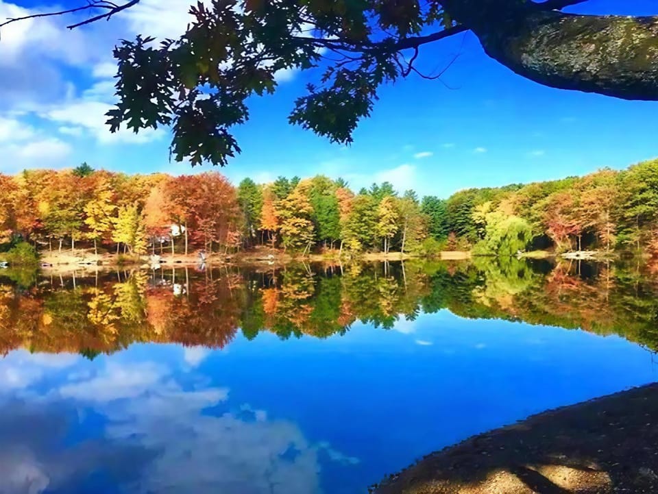 Lake view