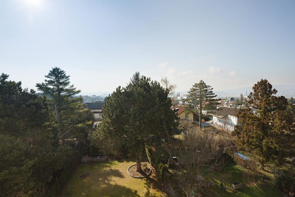 Day, Natural landscape, Garden, Mountain view
