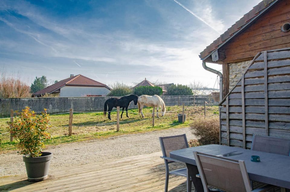 La cabriole des lacs House in Grand Est