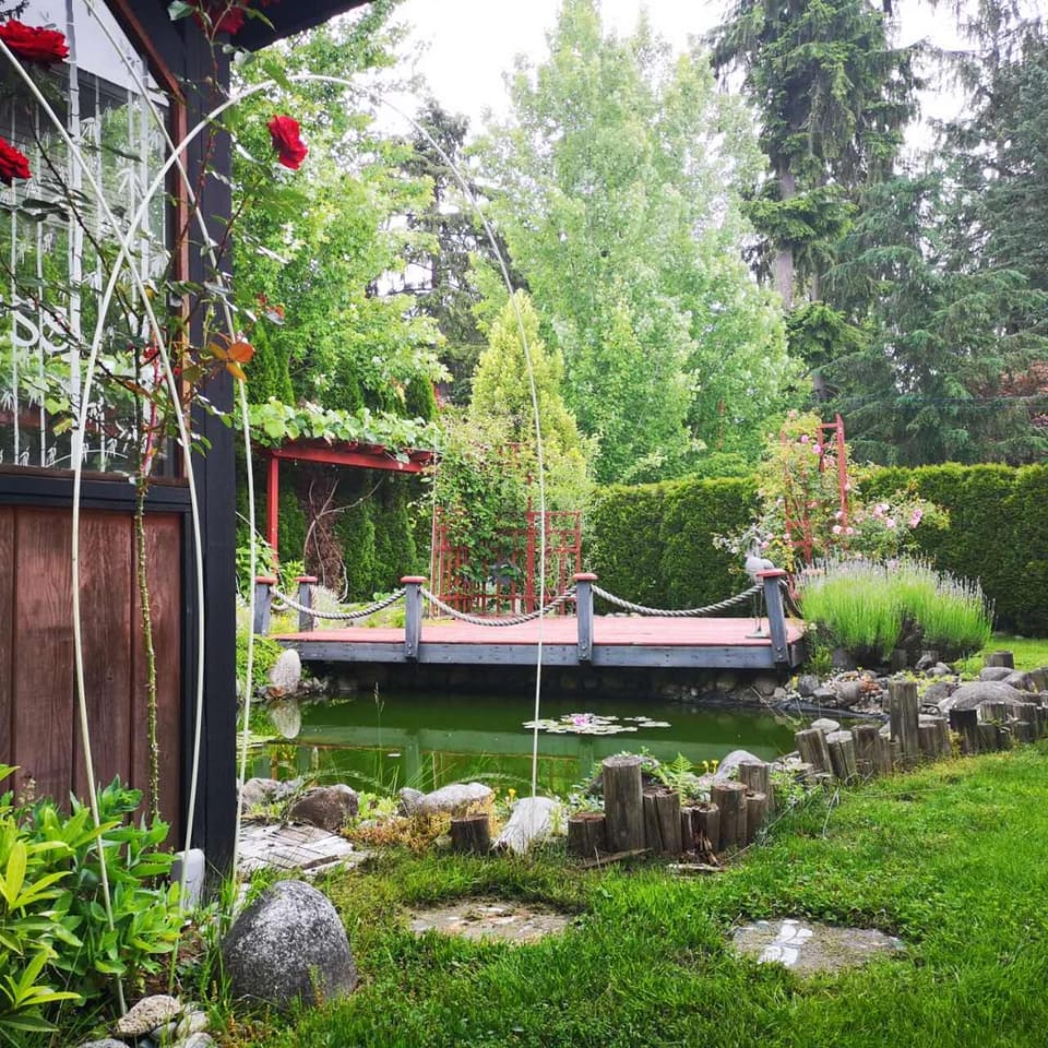 Spring, Garden, Garden view