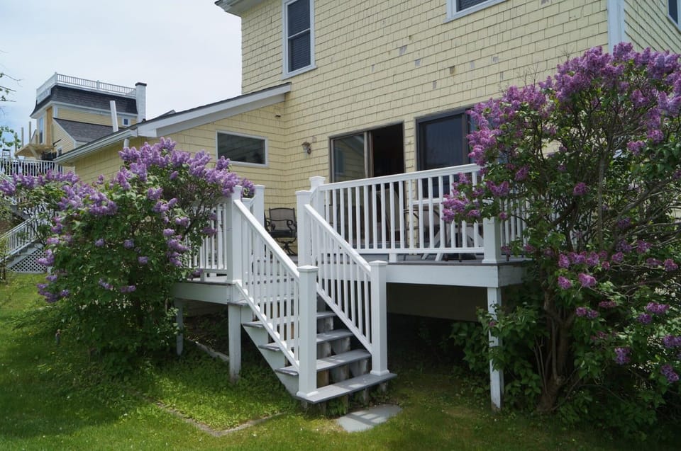 Short Sands View Spacious Beach Home Sleeps 18 Easy Walk to Short Sands Beach 1902 House in Cape Neddick