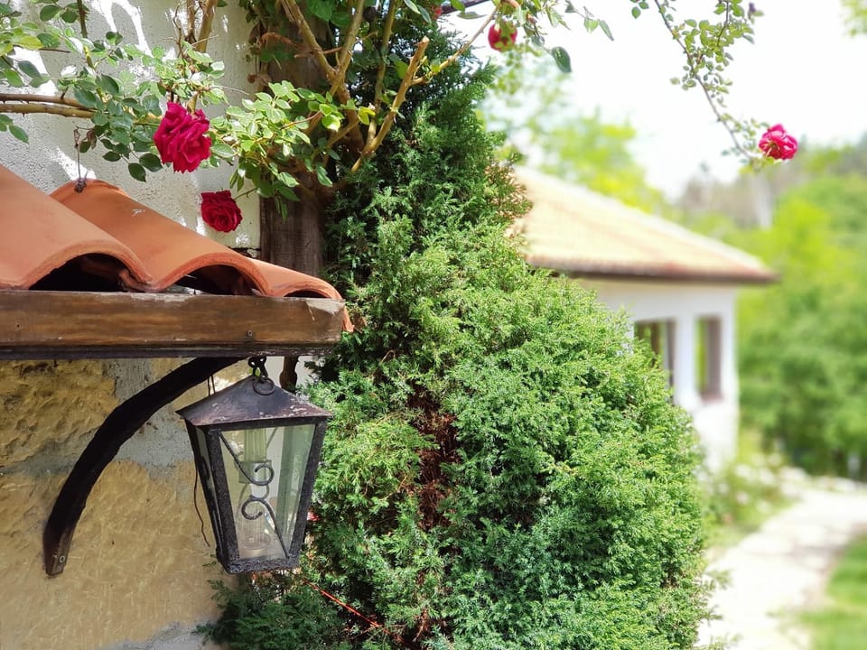 Property building, Spring, Day, Garden, Garden view