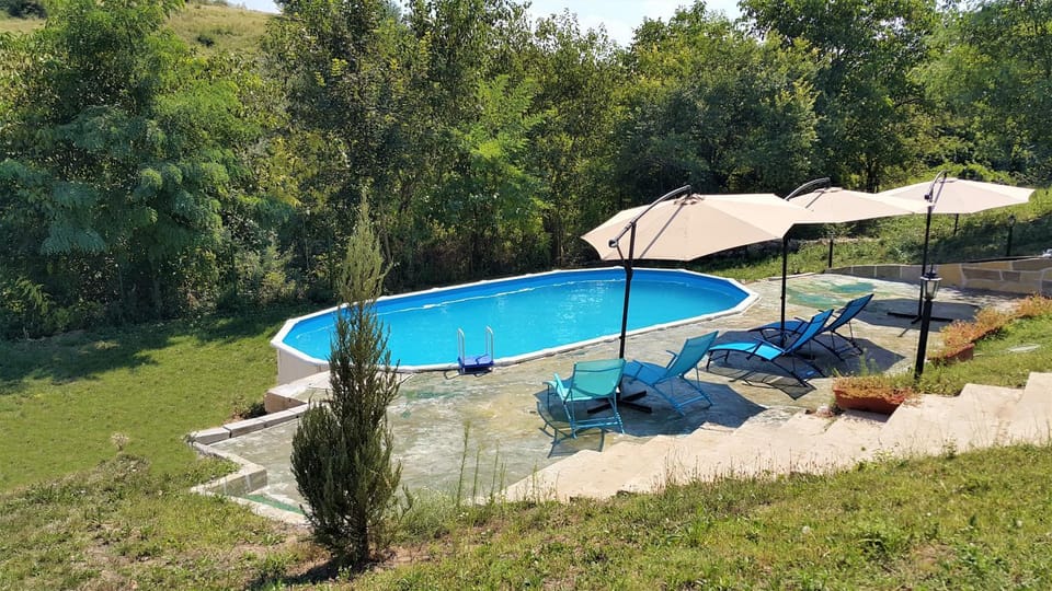 Spring, Day, Natural landscape, Garden, Garden view, Pool view, Swimming pool, sunbed