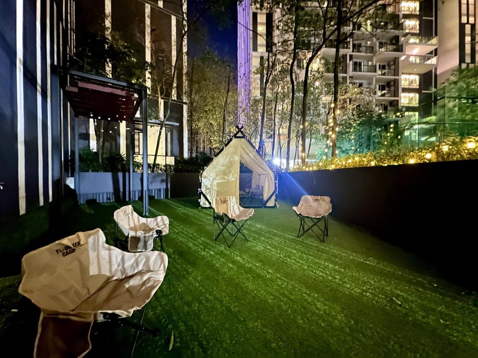 Night, Garden, Garden view