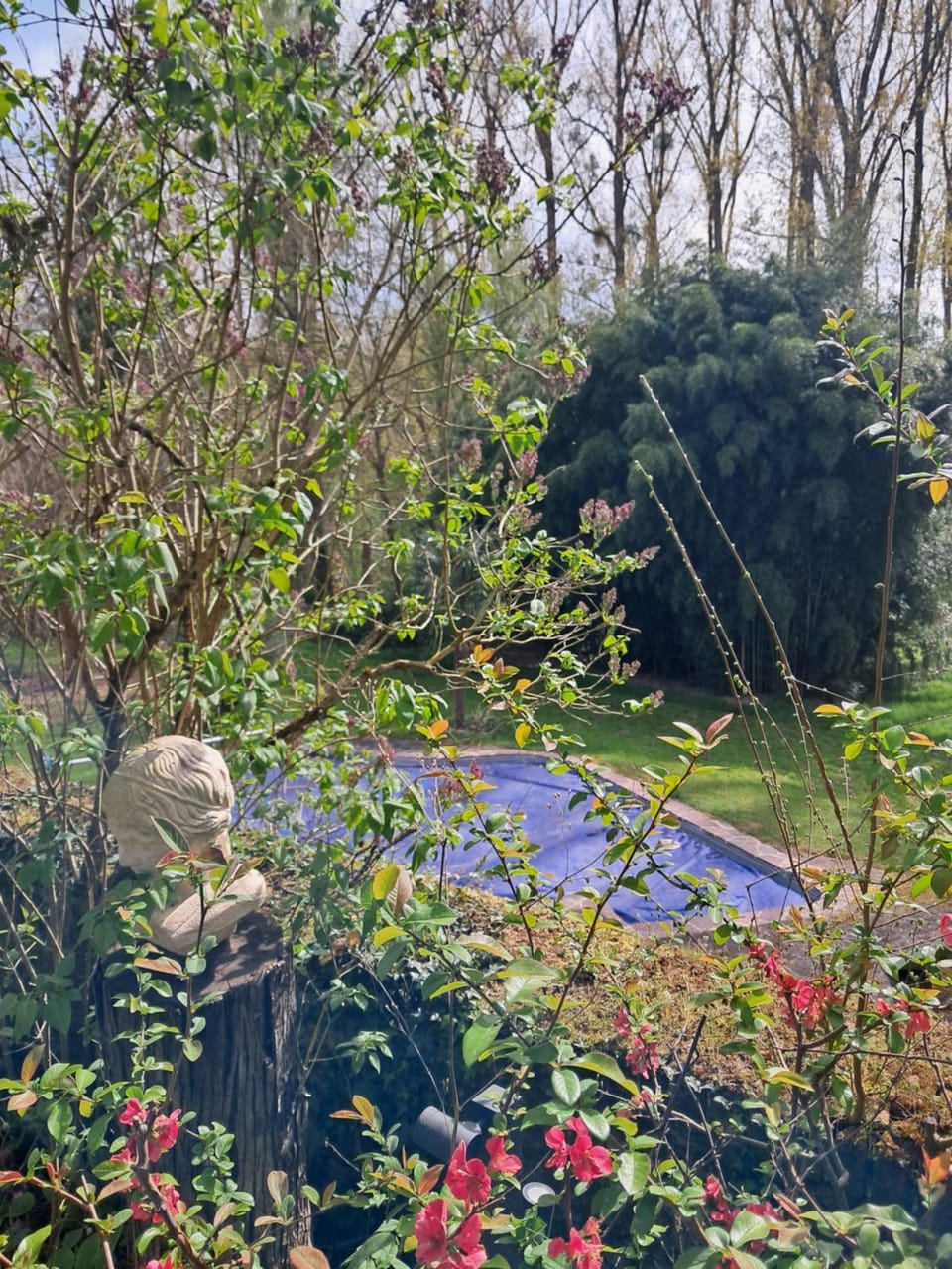 Natural landscape
