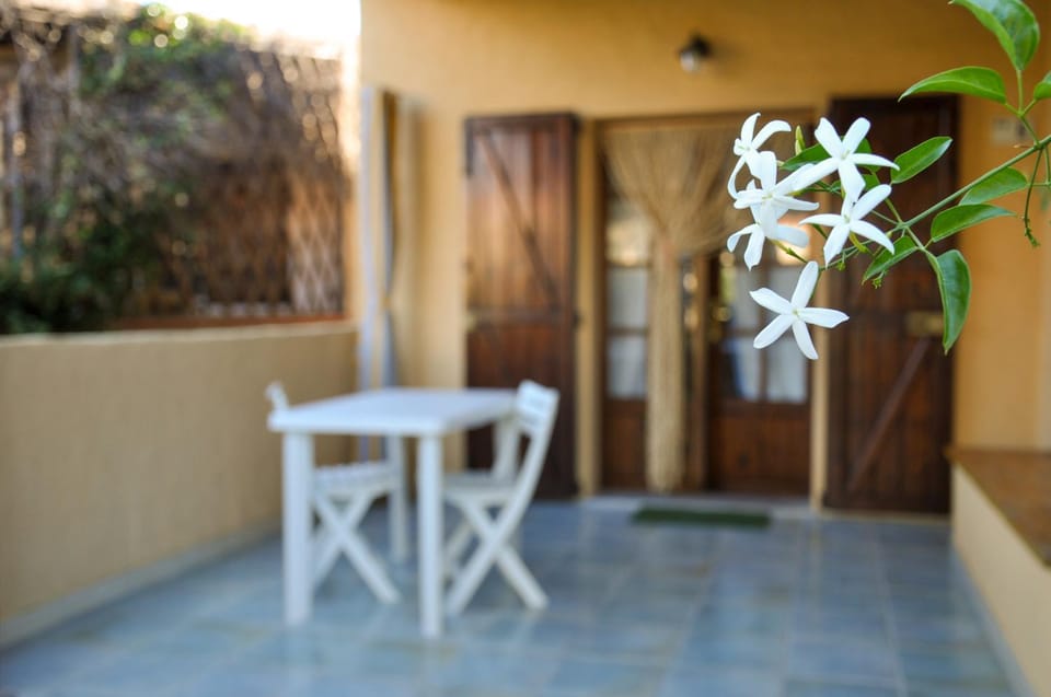 Patio, Day