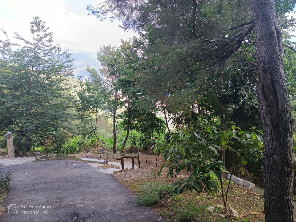 Day, Natural landscape, Garden, Garden view