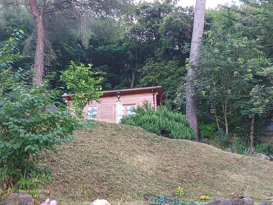 Property building, Natural landscape, Garden, Garden view