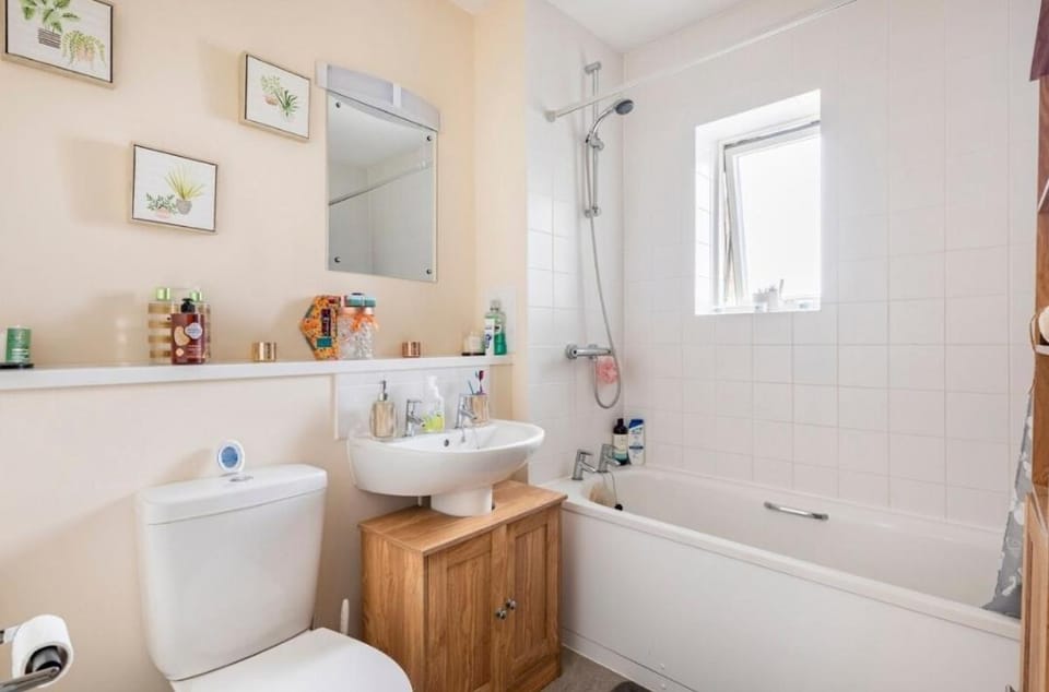 Shower, Toilet, Bathroom, Bath