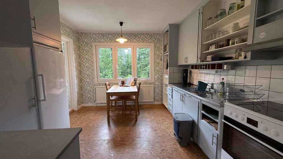 Kitchen or kitchenette, Photo of the whole room, Dining area, oven