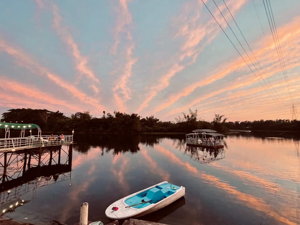 Lake view