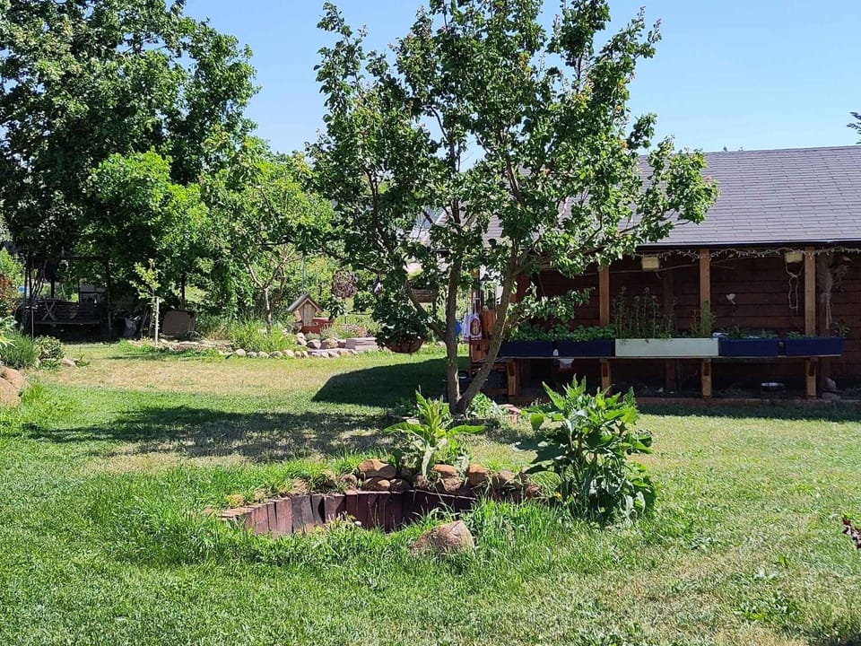 Summer, Garden