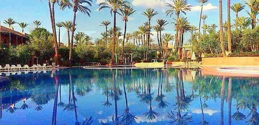 Garden, Pool view, Swimming pool, sunbed