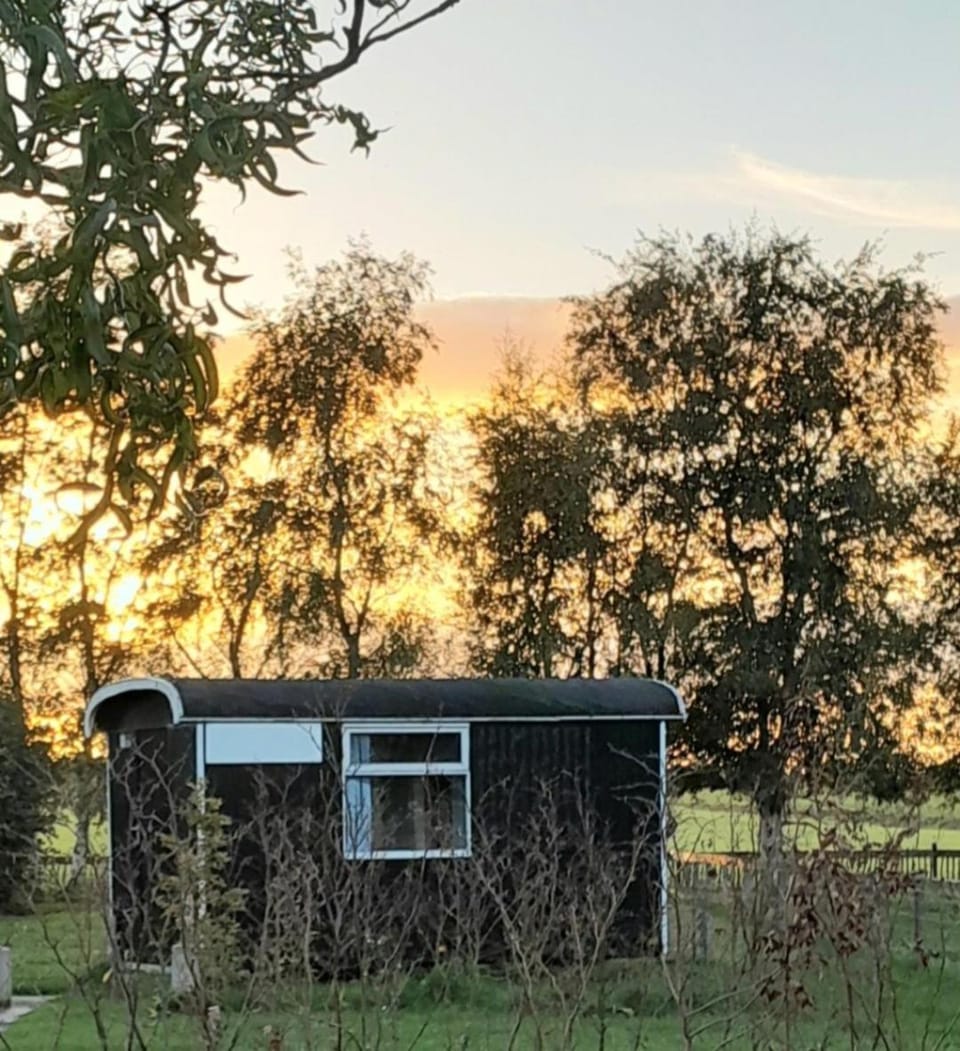 Property building, Spring, Day, Natural landscape, Sunrise, Sunset