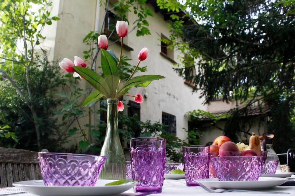 Spring, Garden, Garden, Food