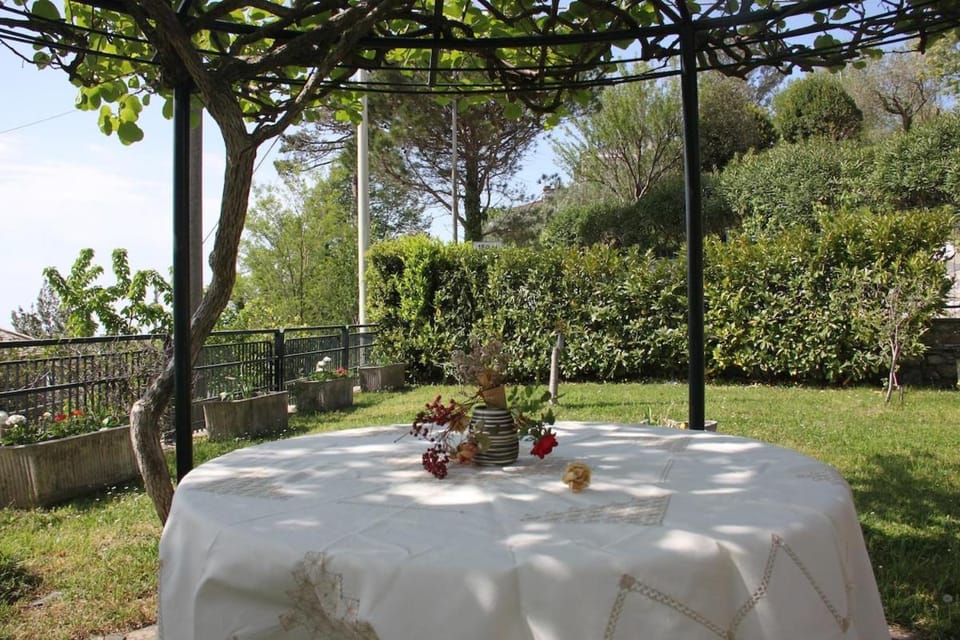 Spring, Day, Garden, Dining area, Garden view