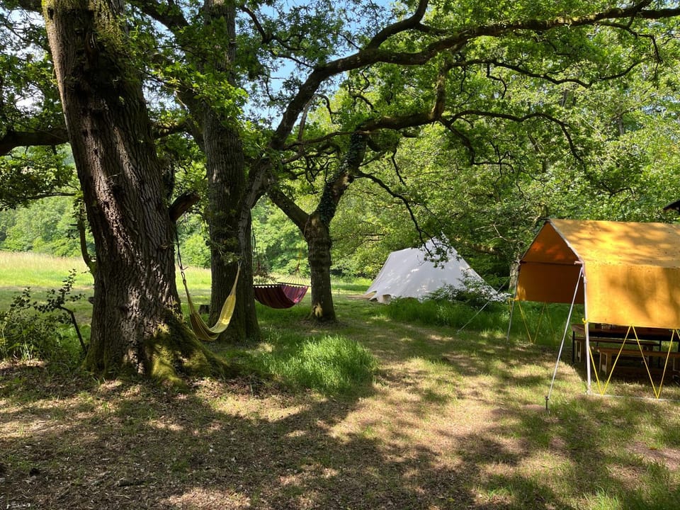 Lickham Bottom Camping Luxury tent in Taunton Deane