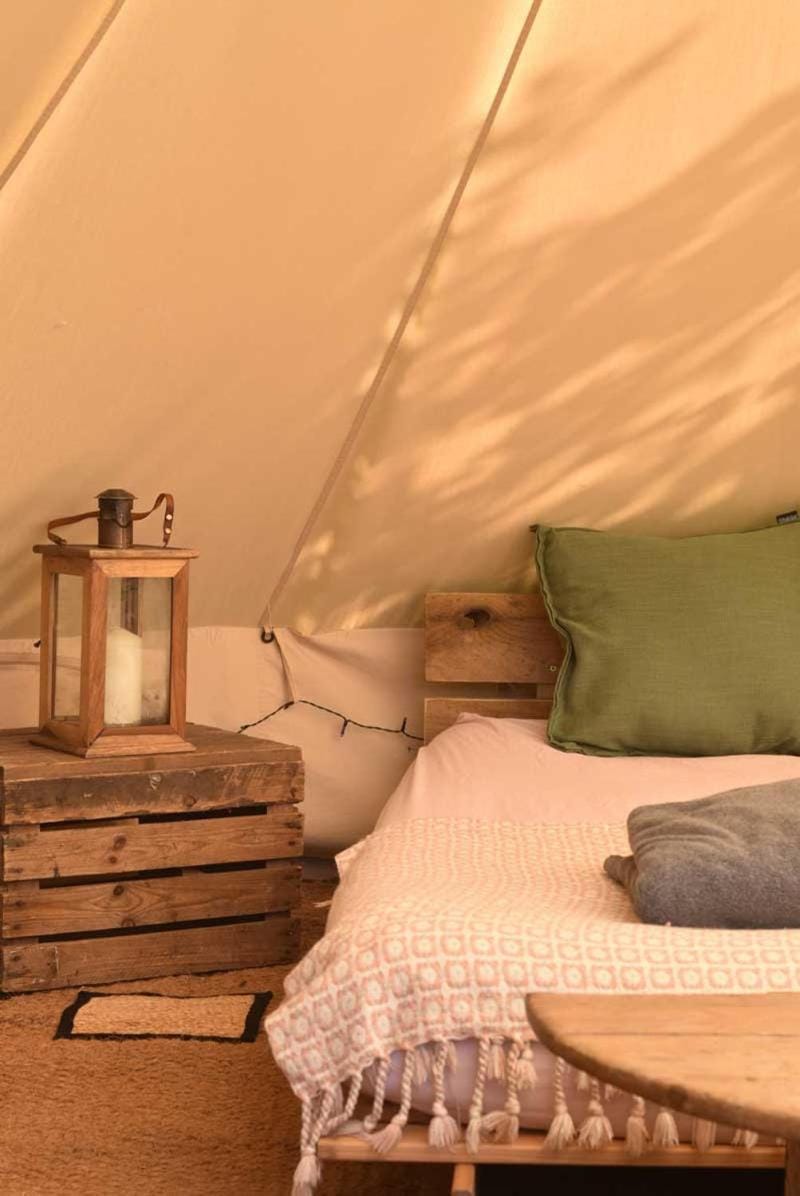 Lickham Bottom Camping Luxury tent in Taunton Deane