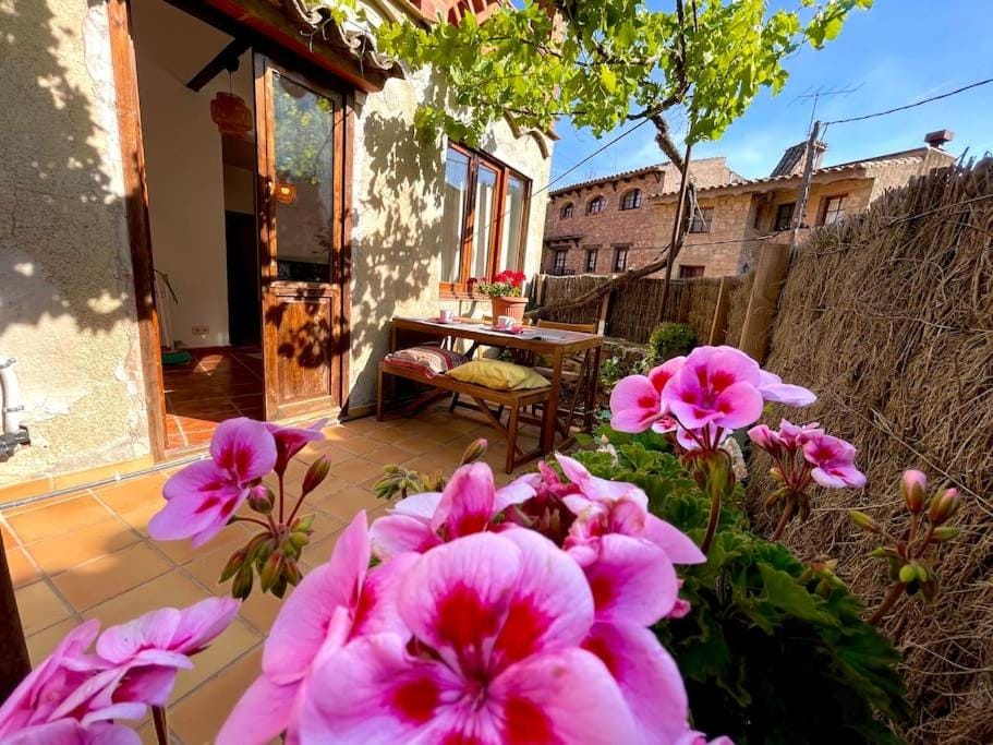 Patio, Garden