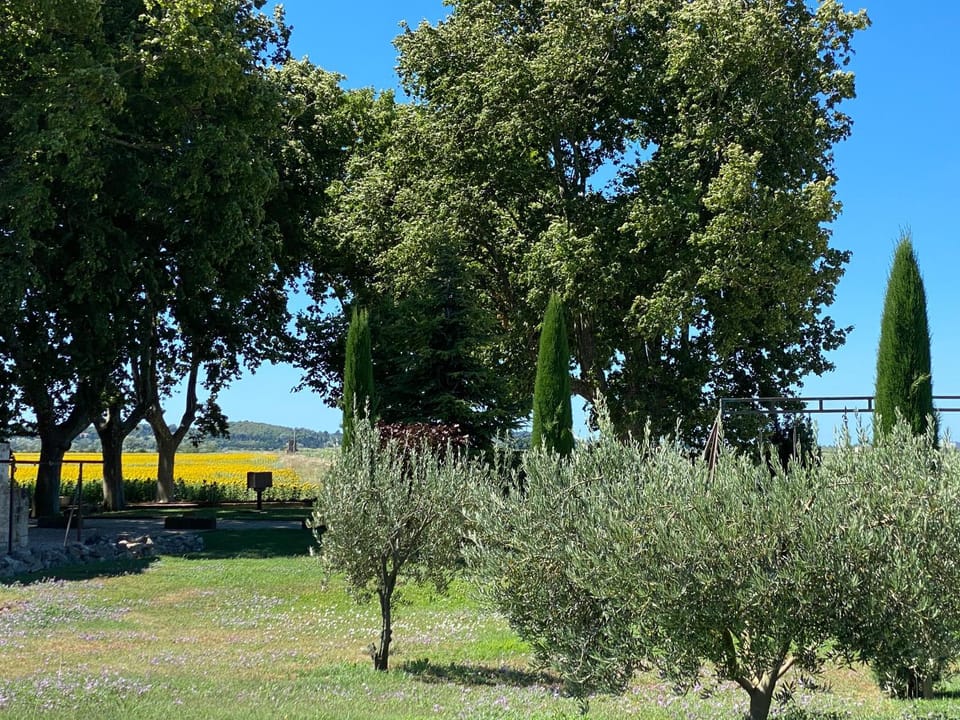 Natural landscape, Garden view