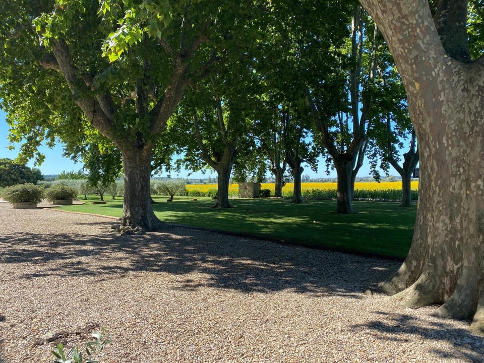 Natural landscape, Garden view