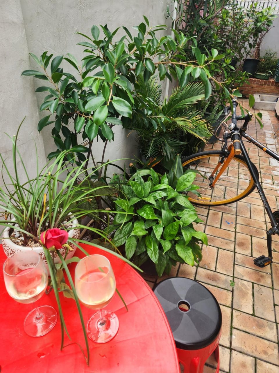 Cycling