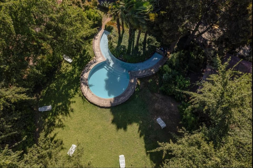 Bird's eye view, Garden, Swimming pool