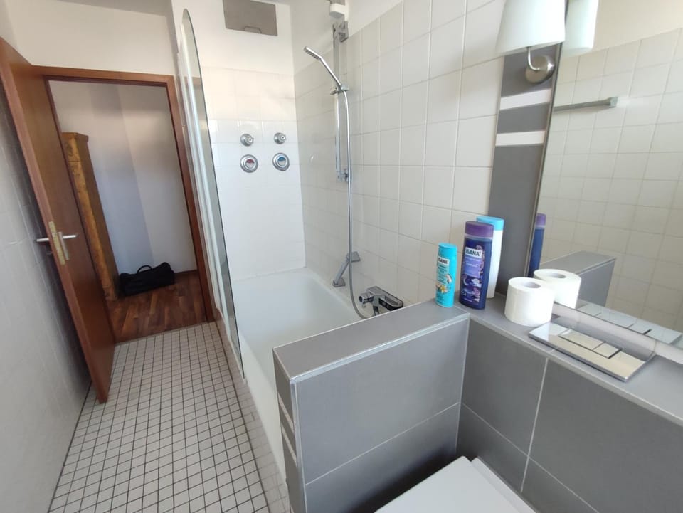 Elegant, Suite, Swimming Pool Apartment in Wiesbaden