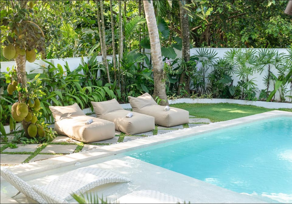 Garden view, Pool view, Swimming pool, sunbed