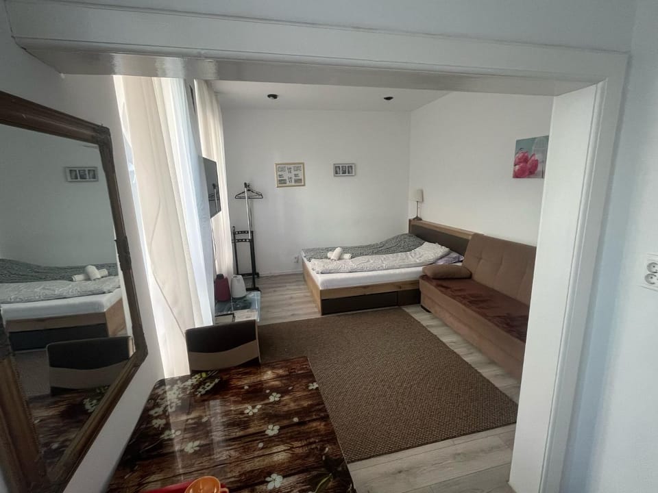 Bed, TV and multimedia, Dining area