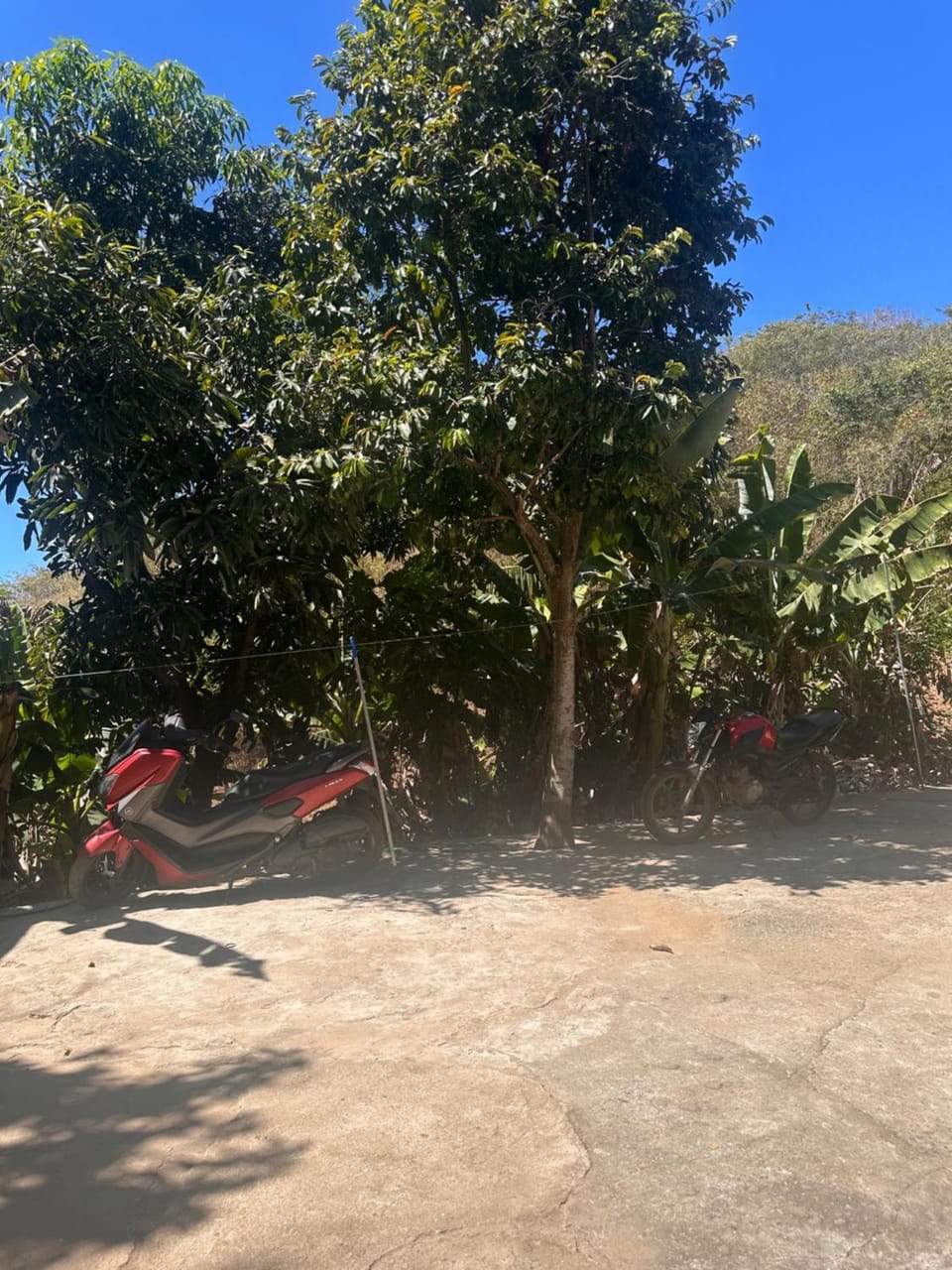 Cantinho verde House in Cabo Frio