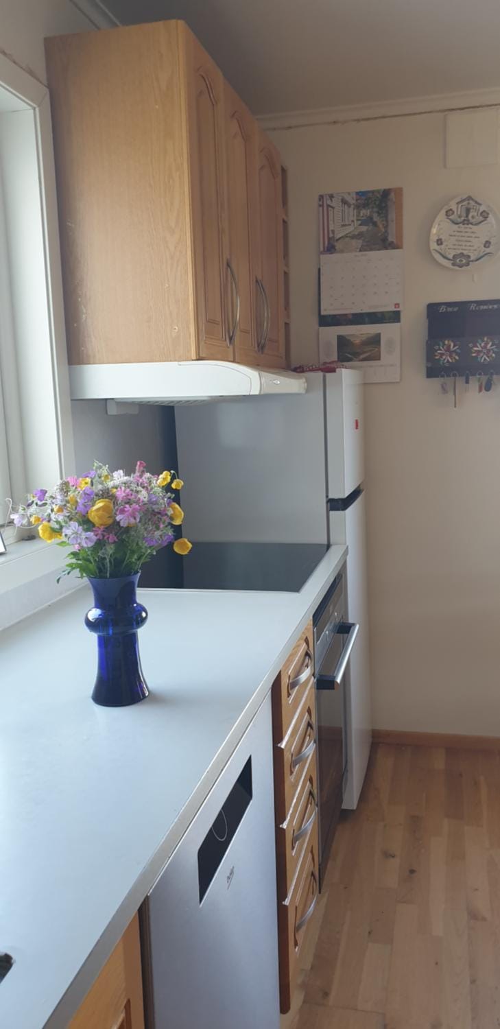 Kitchen or kitchenette, stove