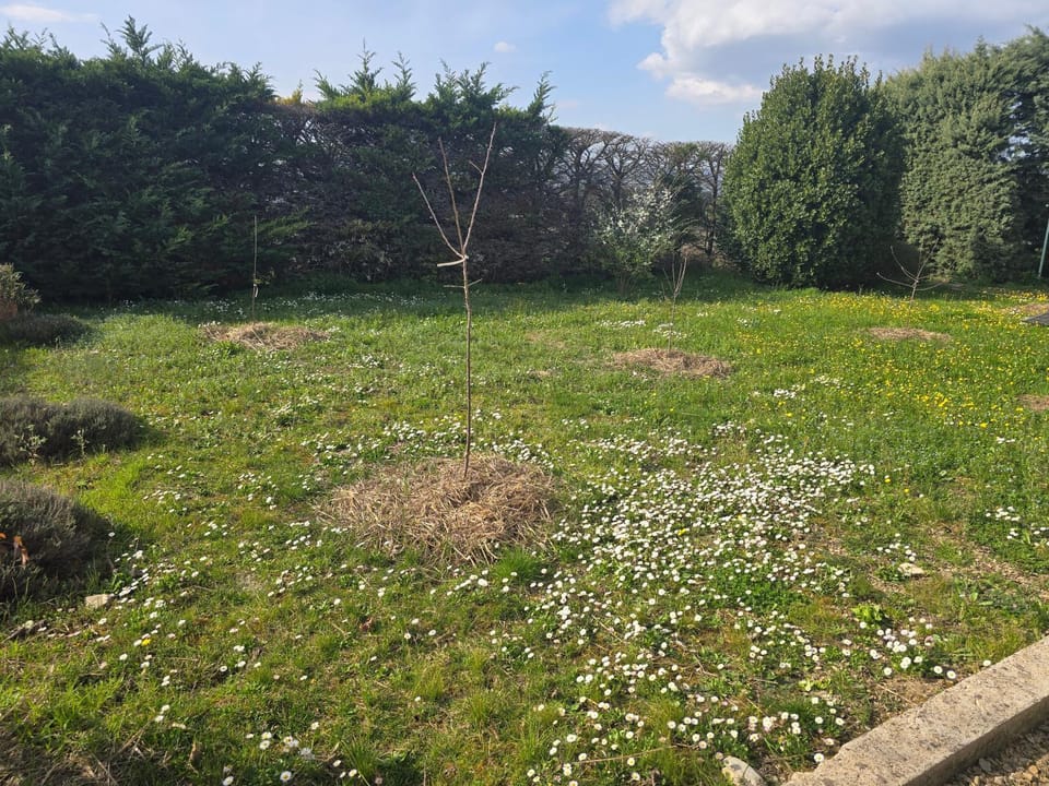 Spring, Natural landscape, Garden, Garden view