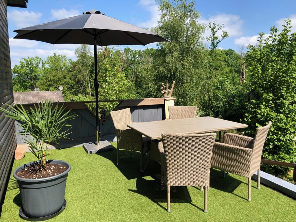 Patio, Day, Garden, Garden view