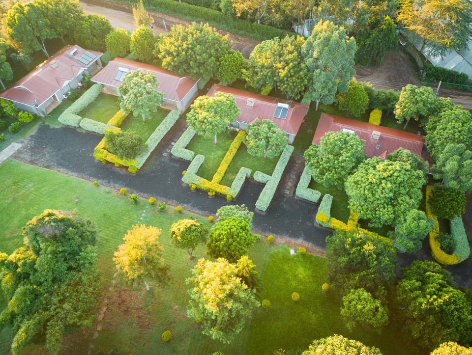 Day, Bird's eye view