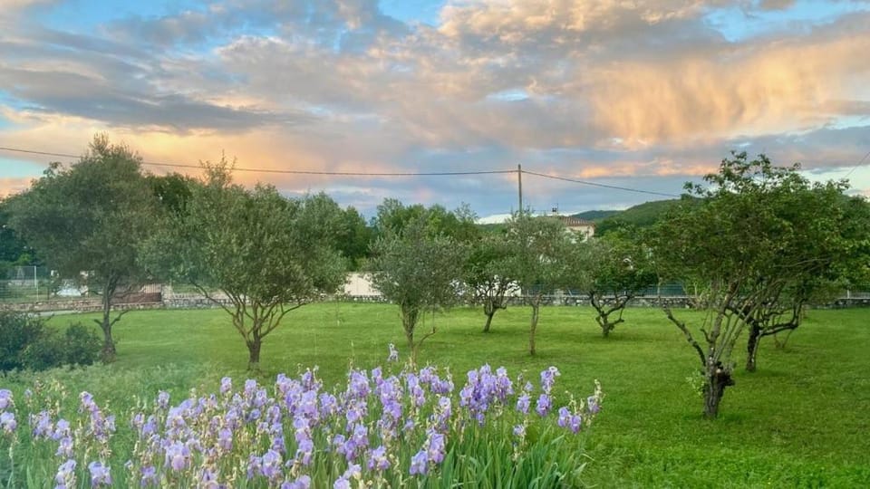 Garden, Balcony/Terrace, Garden view