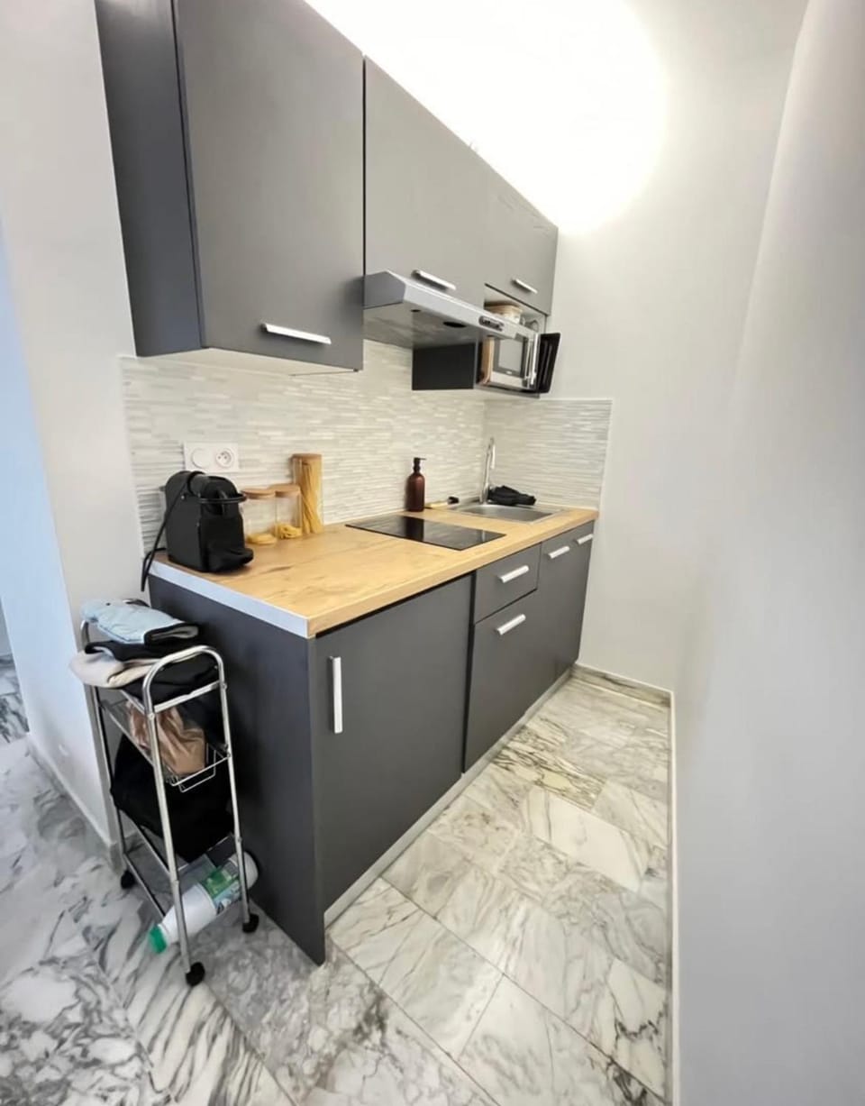 Studio meublé, les tambourins Apartment in Cannes