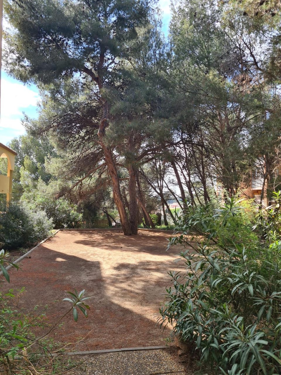Natural landscape, Garden, Garden