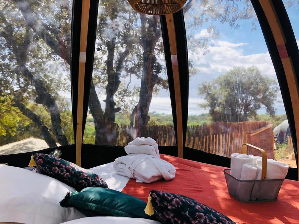 Natural landscape, View (from property/room), Photo of the whole room, Bedroom