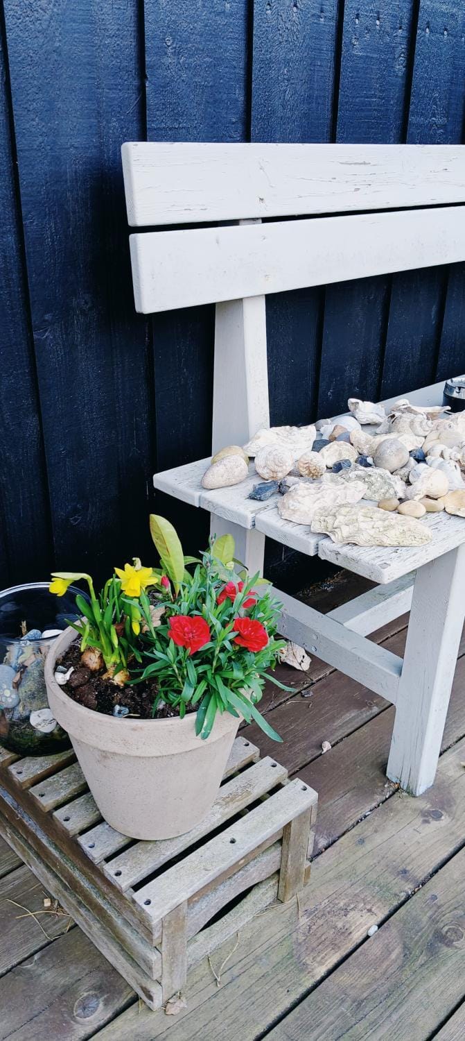 EchoBay nr 2 - child-friendly house close to the beach House in Denmark