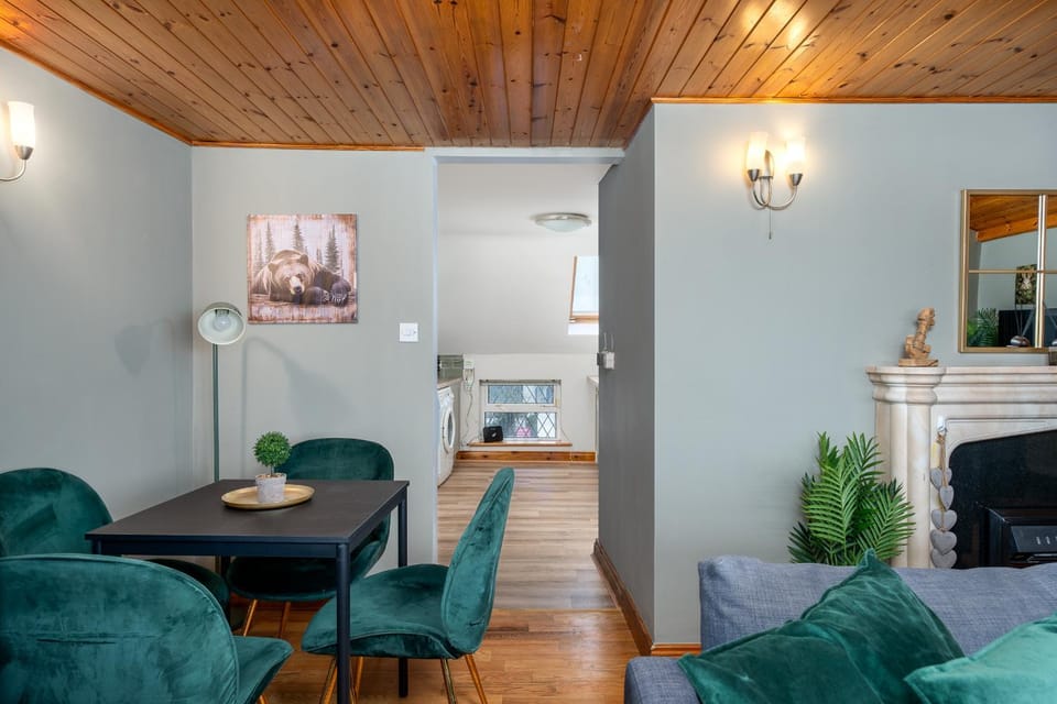 Shannon View Jungle House House in Athlone