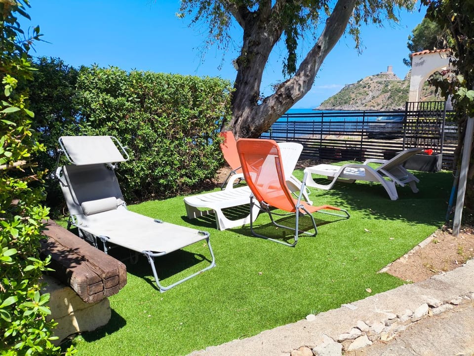 Natural landscape, Garden, sunbed