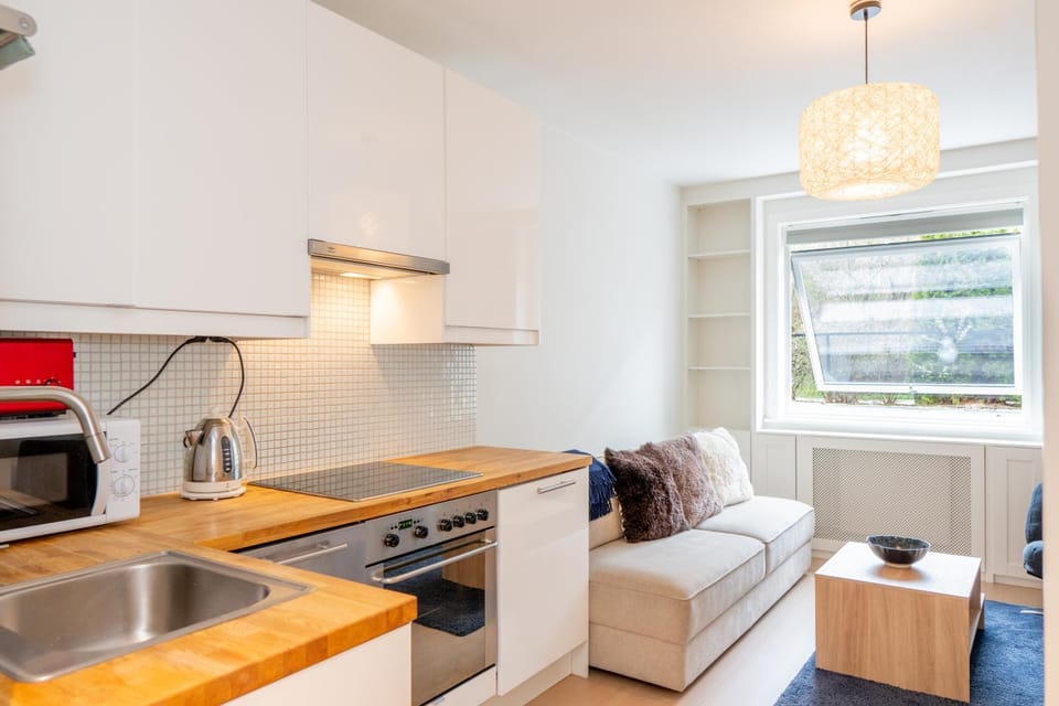 Kitchen or kitchenette, Living room, dishwasher, oven, stove, toaster