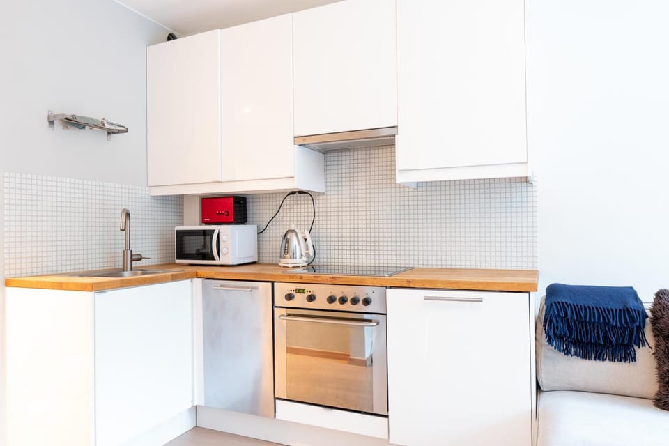 Kitchen or kitchenette, dishwasher, stove, toaster