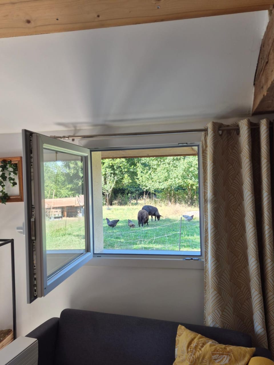 View (from property/room), Living room