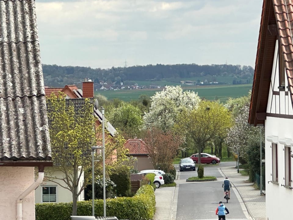 Natural landscape, Street view