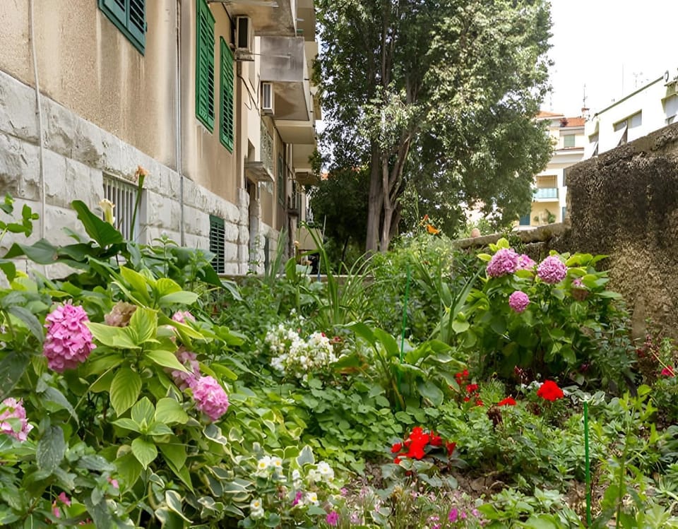Spring, Day, Garden, Garden