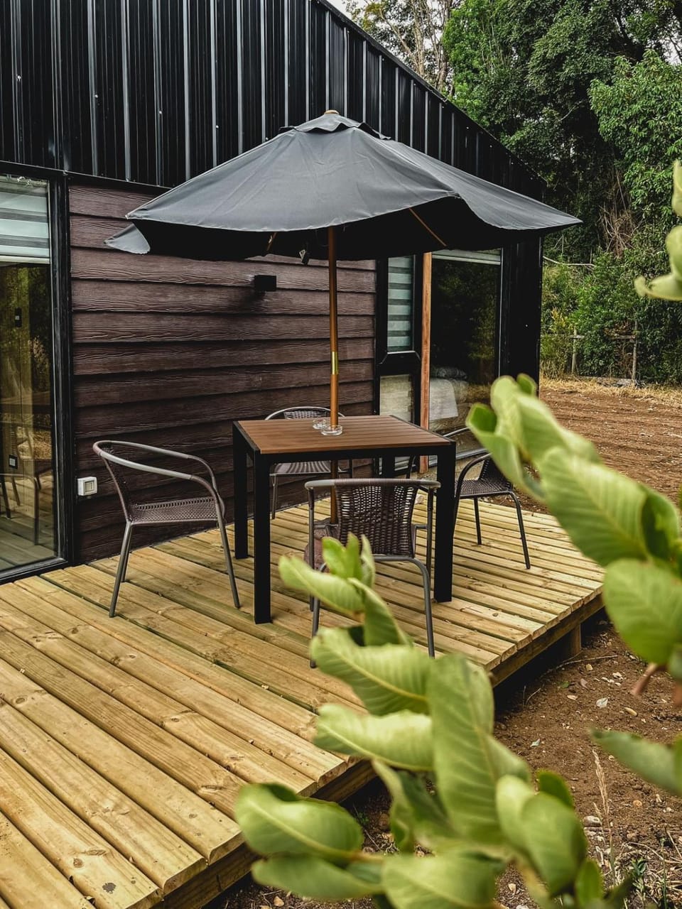 Patio, Garden, Garden view