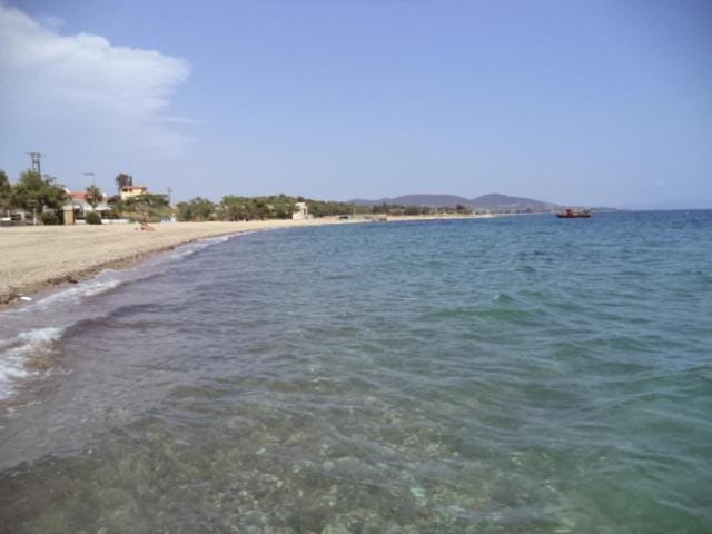 Empty Rv Parking Campground Beachfront Campground/ 
RV Resort in Halkidiki