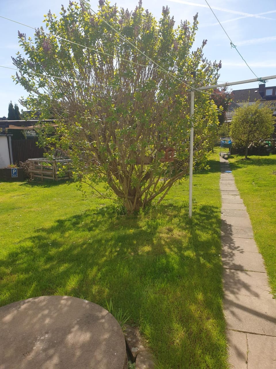 Property building, Spring, Day, Natural landscape, Garden, Garden view